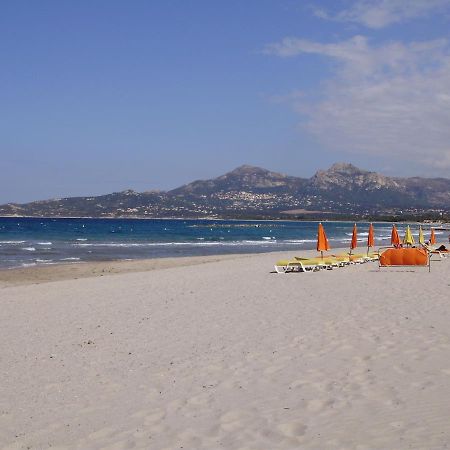Appartement F1 Calvi A 150 Metres De La Plage Exterior foto
