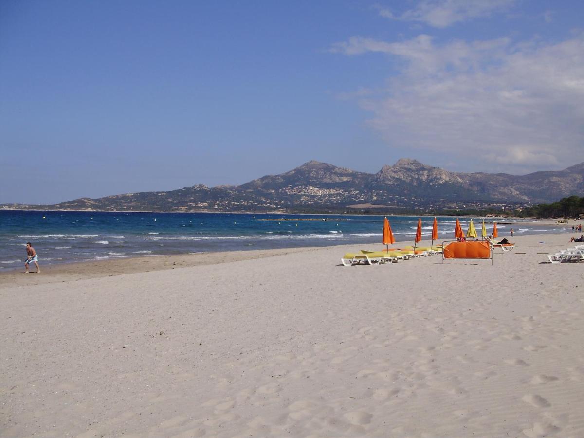Appartement F1 Calvi A 150 Metres De La Plage Exterior foto